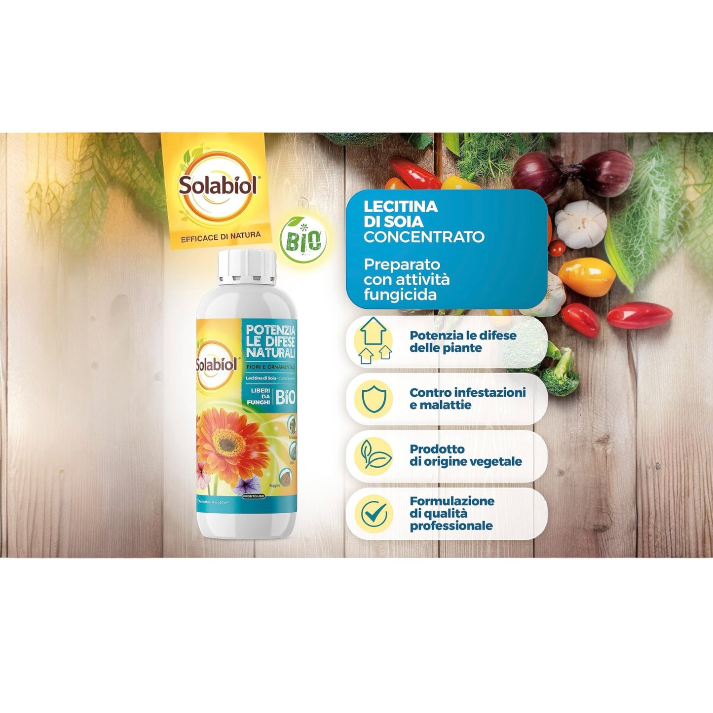 Solabiol Lecitina di Soia 1 lt