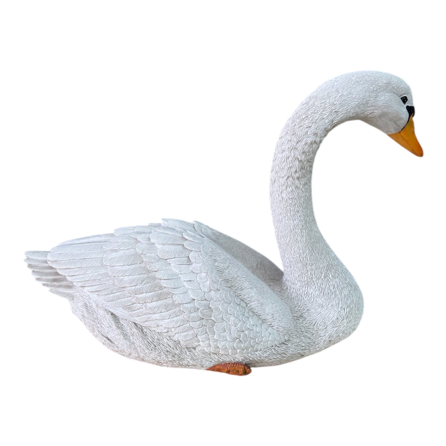 Cigno