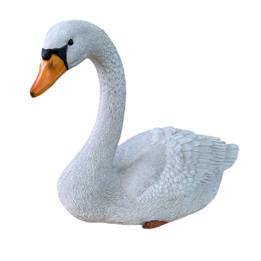 Cigno