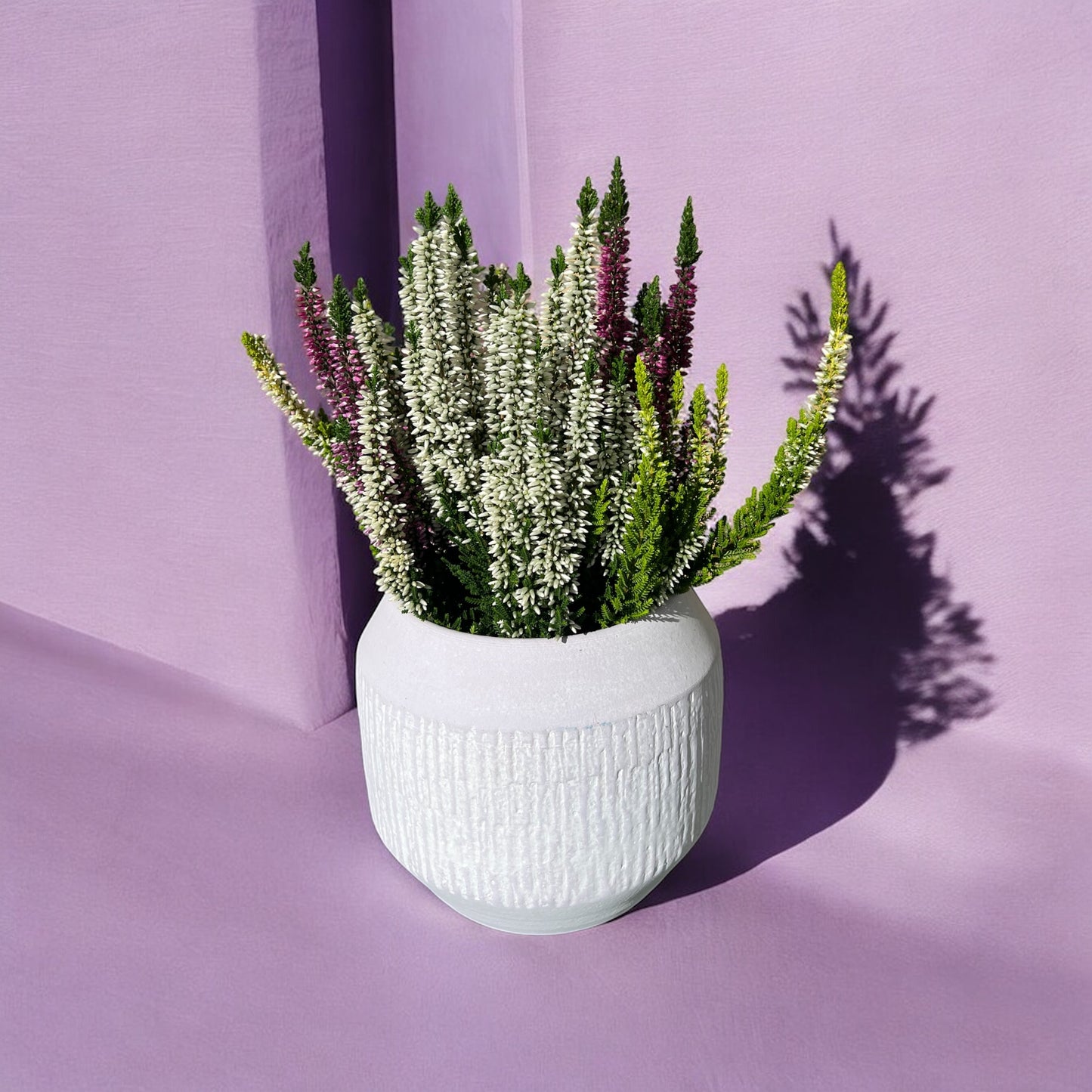 Vaso Lavanda