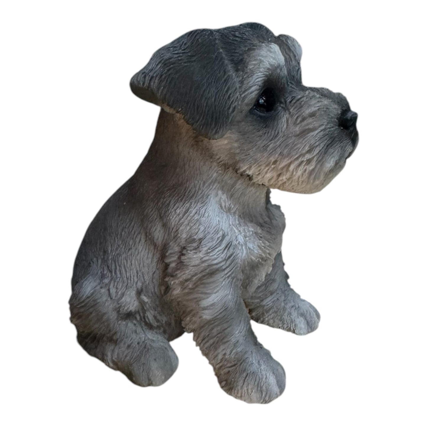 Cane Schnauzer Mignon