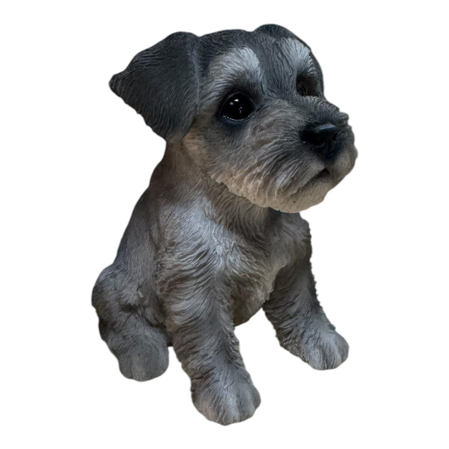 Cane Schnauzer Mignon