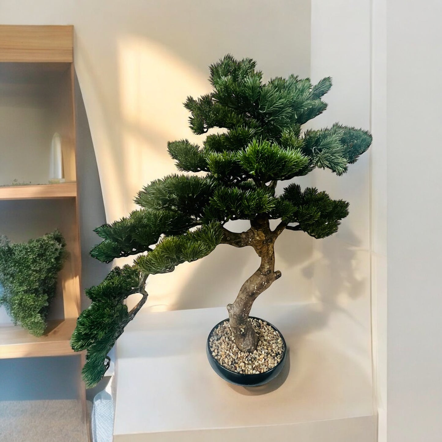 Vaso con Bonsai per decorazione