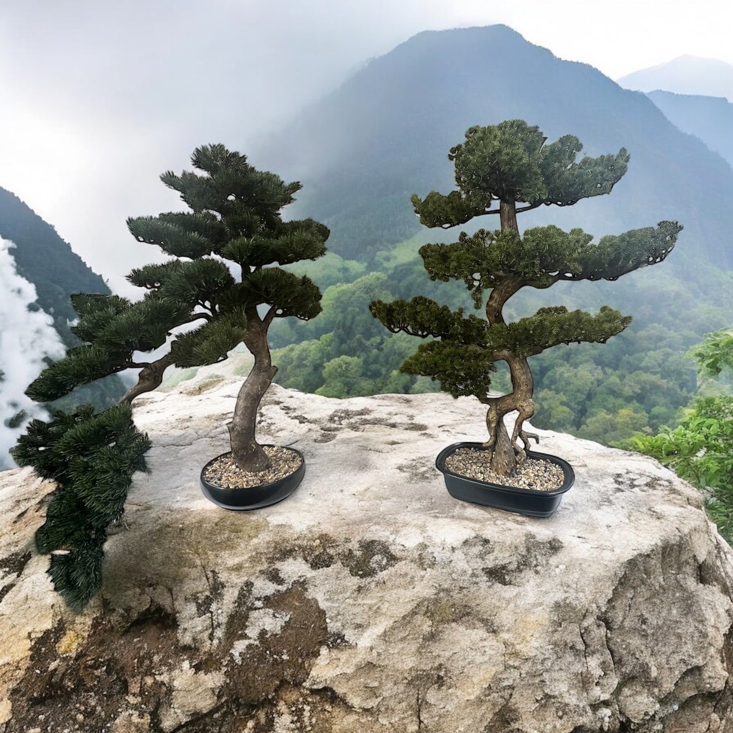 Vaso con Bonsai per decorazione