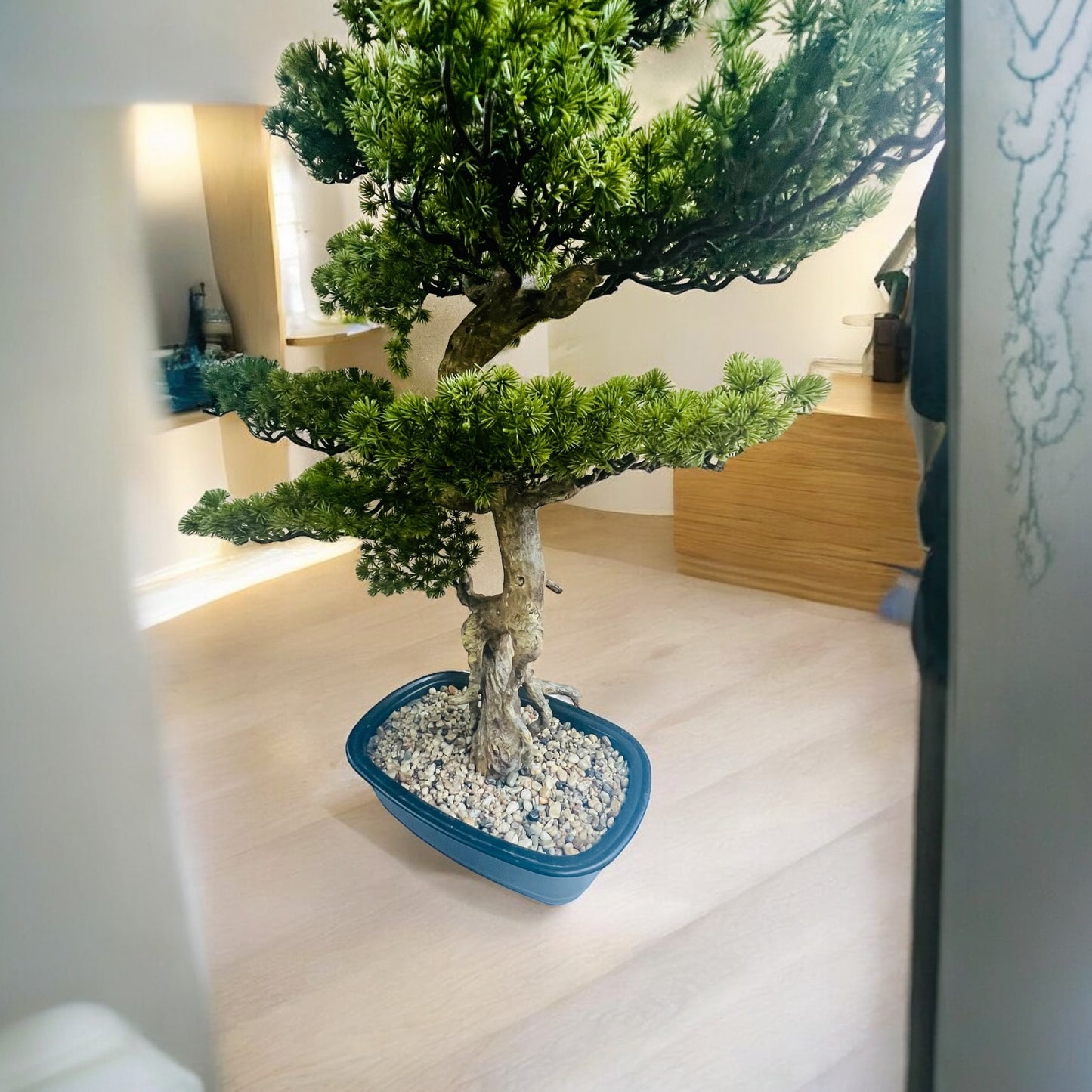 Vaso con Bonsai per decorazione