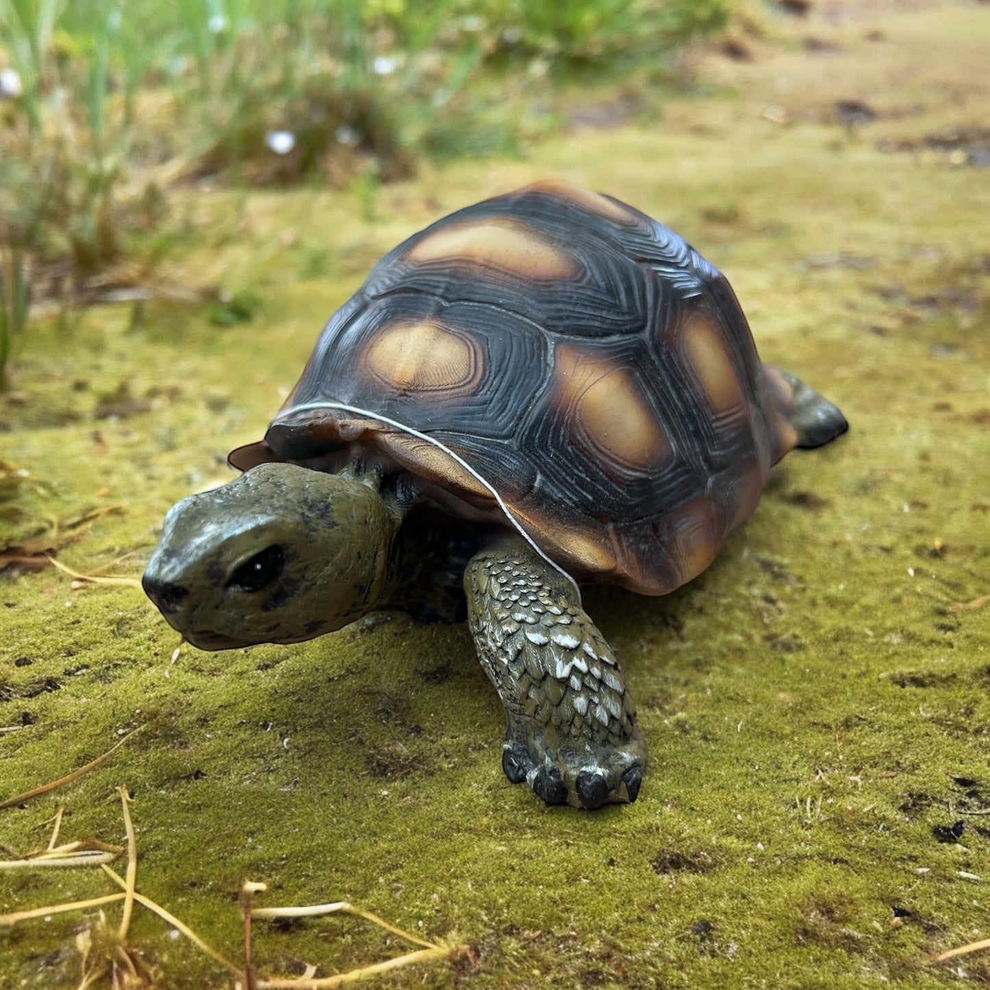 Testuggine gopher