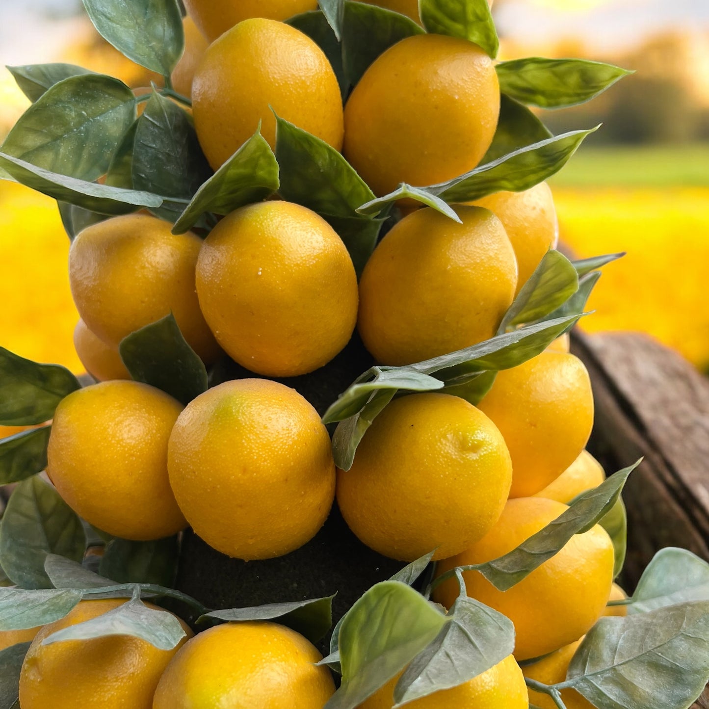 Elegante composizione limoni