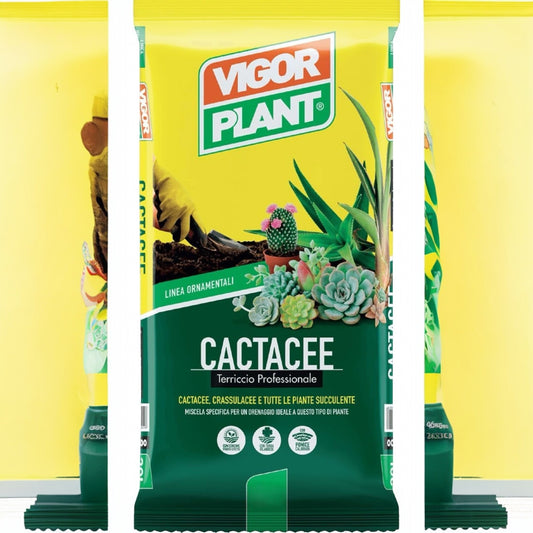 Terriccio Cactacee 20litri